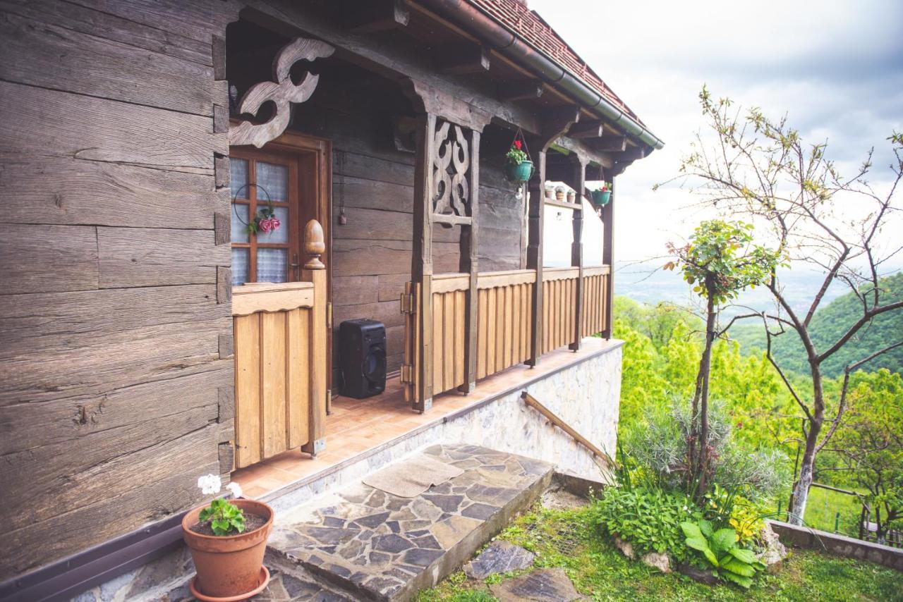Kuca Za Odmor Poljanica Okicka Villa Ястребарско Екстериор снимка