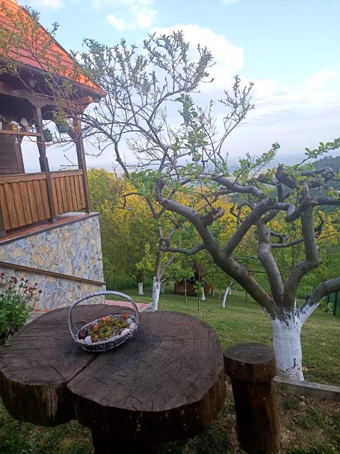 Kuca Za Odmor Poljanica Okicka Villa Ястребарско Екстериор снимка