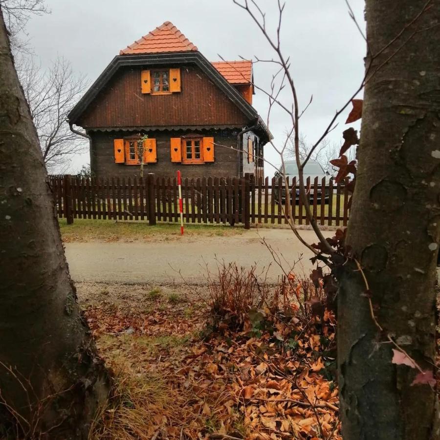 Kuca Za Odmor Poljanica Okicka Villa Ястребарско Екстериор снимка